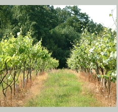 2002_0625_093030AA_2