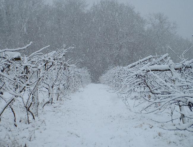 dec05