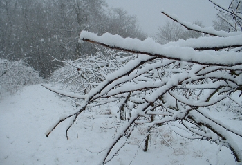 DSCF0003