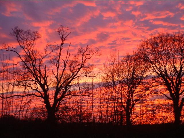 sunset