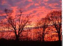 sunsetJanuary